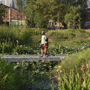 تصویر - پارک جنگلی Benjakitti ، اثر تیم طراحی Arsomslip Community and Environmental Architect ، تایلند - معماری