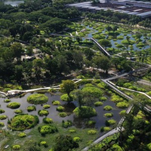 تصویر - پارک جنگلی Benjakitti ، اثر تیم طراحی Arsomslip Community and Environmental Architect ، تایلند - معماری