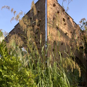 تصویر - سکونتگاه چندمنظوره Subterranean Ruins ، اثر تیم طراحی A Threshold , هند - معماری