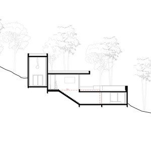 تصویر - خانه Pine Forest ، اثر تیم طراحی AT architectes ، فرانسه - معماری