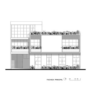 تصویر - خانه MoMa ، استودیو معماری Estudio Tecalli ، مکزیک - معماری
