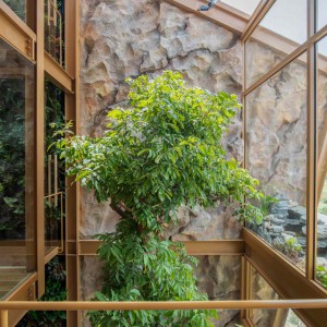 تصویر - طراحی پایدار، فراتر از یک شعار در خانه ای واقع در ویتنام - معماری