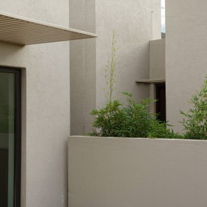 تصویر - خانه KLEE در ساپانجا؛ هم‌نشینی ارگانیک حجم‌ها در بستر طبیعت ، اثر the | work - معماری