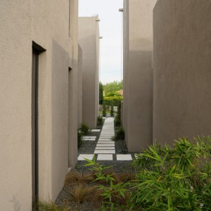 تصویر - خانه KLEE در ساپانجا؛ هم‌نشینی ارگانیک حجم‌ها در بستر طبیعت ، اثر the | work - معماری