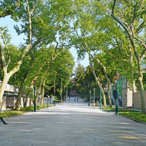 تصویر - سیر بینال معماری ونیز؛ روایت پروژه‌های کلاسیک و پاویون‌های ماندگار - معماری