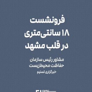 عکس - فرونشست ۱۸ سانتی‌متری در قلب مشهد