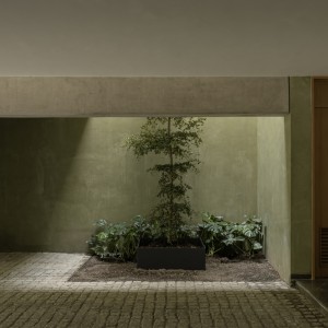 تصویر - خانه DLCA؛ اقامتگاهی مینیمال و گرم از 0studio Arquitectura در مکزیک - معماری