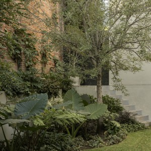 تصویر - خانه DLCA؛ اقامتگاهی مینیمال و گرم از 0studio Arquitectura در مکزیک - معماری