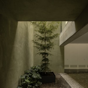 تصویر - خانه DLCA؛ اقامتگاهی مینیمال و گرم از 0studio Arquitectura در مکزیک - معماری