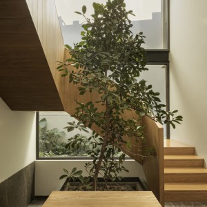 تصویر - خانه DLCA؛ اقامتگاهی مینیمال و گرم از 0studio Arquitectura در مکزیک - معماری