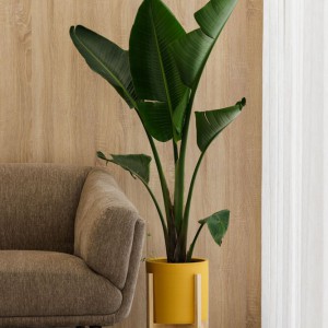 تصویر - کلینیک دندانپزشکی MOOD ، استودیو Tsou Arquitectos ، پرتغال - معماری