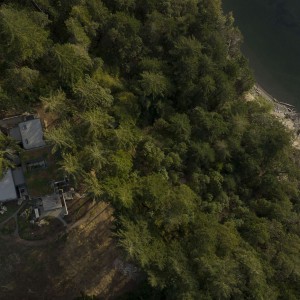 تصویر - مسکونی لانگ‌برنچ (Longbranch Residence) ، دفتر معماری mwworks ، آمریکا - معماری