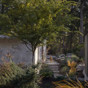 تصویر - مسکونی لانگ‌برنچ (Longbranch Residence) ، دفتر معماری mwworks ، آمریکا - معماری