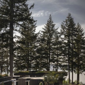 تصویر - مسکونی لانگ‌برنچ (Longbranch Residence) ، دفتر معماری mwworks ، آمریکا - معماری