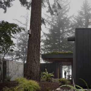 تصویر - مسکونی لانگ‌برنچ (Longbranch Residence) ، دفتر معماری mwworks ، آمریکا - معماری