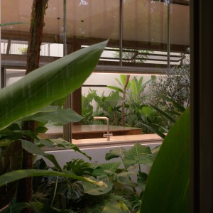 تصویر - خانه Paseo House of Cantera ٬ دفتر معماری Antumbra estudio ٬ مکزیک - معماری