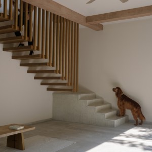 تصویر - خانه Paseo House of Cantera ٬ دفتر معماری Antumbra estudio ٬ مکزیک - معماری