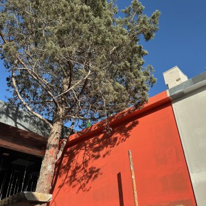 تصویر -  کافه میلان | طراحی فضای بینابینی | اثر دفتر محمدتقی باقری و همکاران | مشهد، ایران - معماری