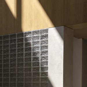 تصویر - خانه میان دیوارها | طراحی Studio UF+O | رواترا، هند - معماری