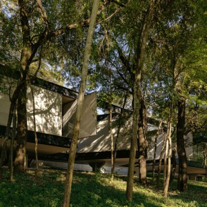 تصویر - خانه Adentro House | طراحی دفتر معماری TETRO | لاگوآ سانتا، برزیل - معماری