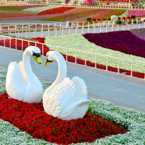 تصویر - بزرگترین باغ گل جهان،درشهری با اقلیم بیابانی - معماری