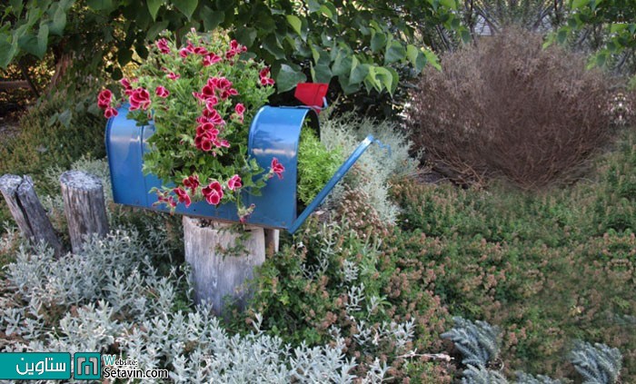 صندوق پستی که باغچه شده است.