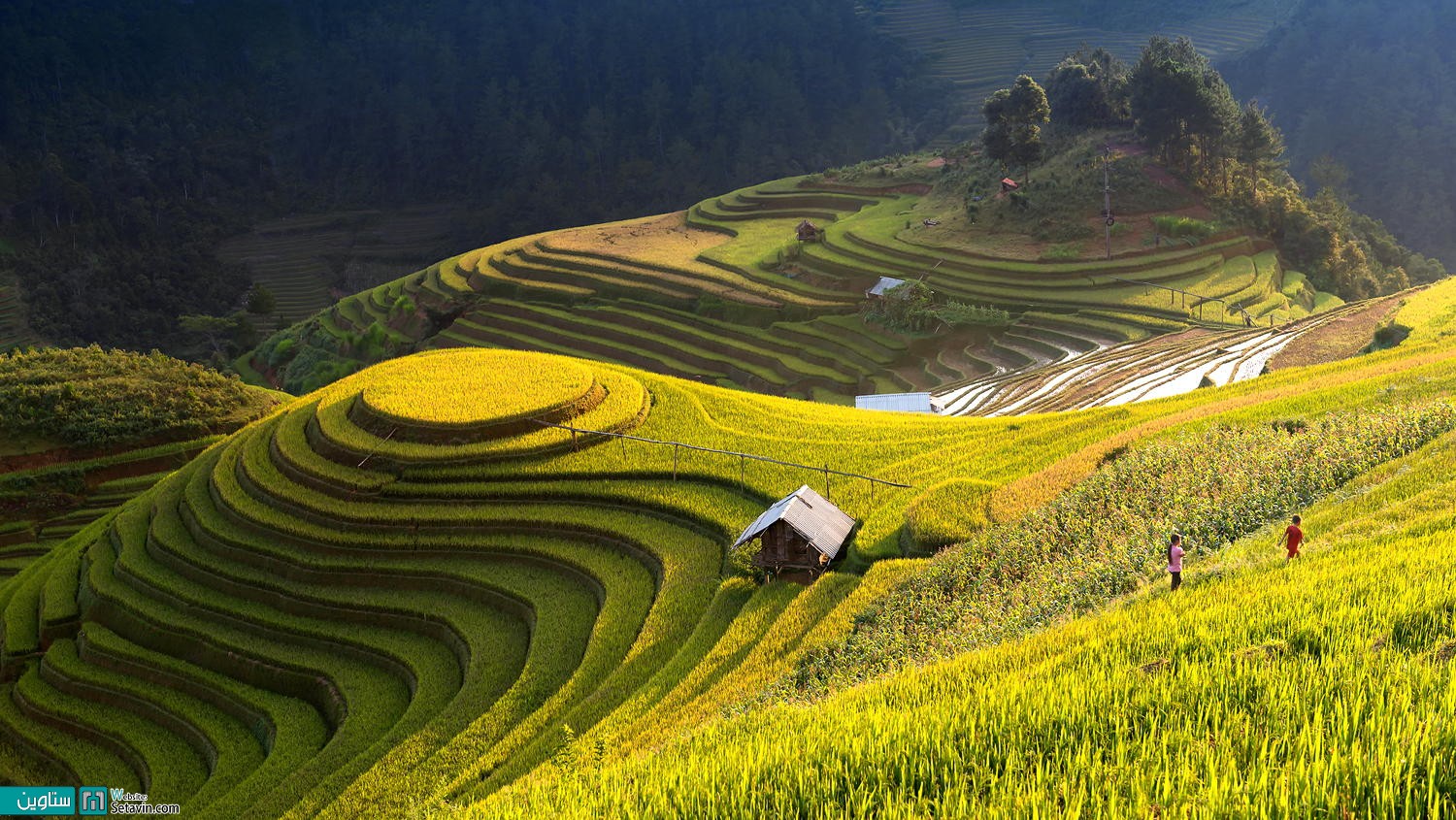  منطقه Mu Cang Chai  ویتنام