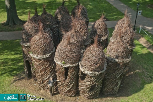 مجسمه هایی خیره کننده شبیه لانه پرندگان از شاخه های چوبی