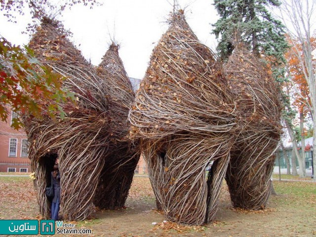 مجسمه هایی خیره کننده از شاخه های چوبی