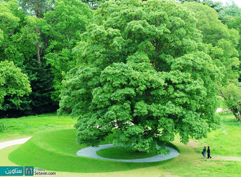 نمونه هایی خلاقانه از طراحی منظر