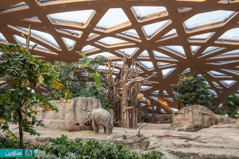  پارک فیل های Kaeng Krachan در مجموعه باغ وحش Zürich