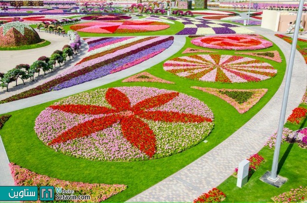 بزرگترین باغ گل جهان،درکشوری با اقلیم بیابانی 
