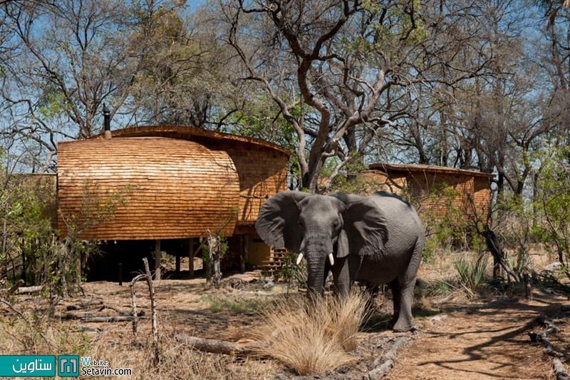 فضای اقامتی پایدار  در بوتسوانا