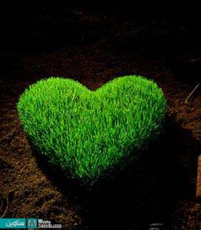 سبزه به شکل قلب